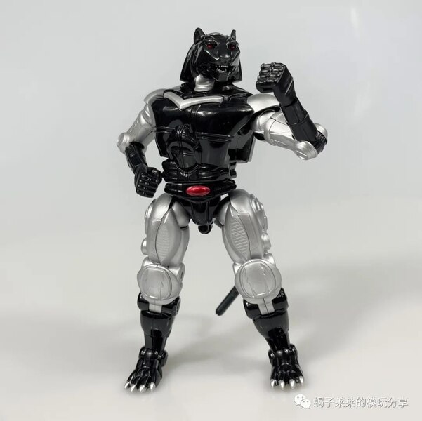 TransArt Toys BWM 04 Black Agent In Hand Images  (3 of 26)